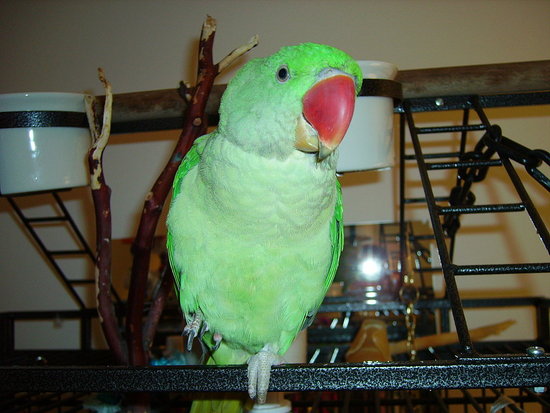 Image Image